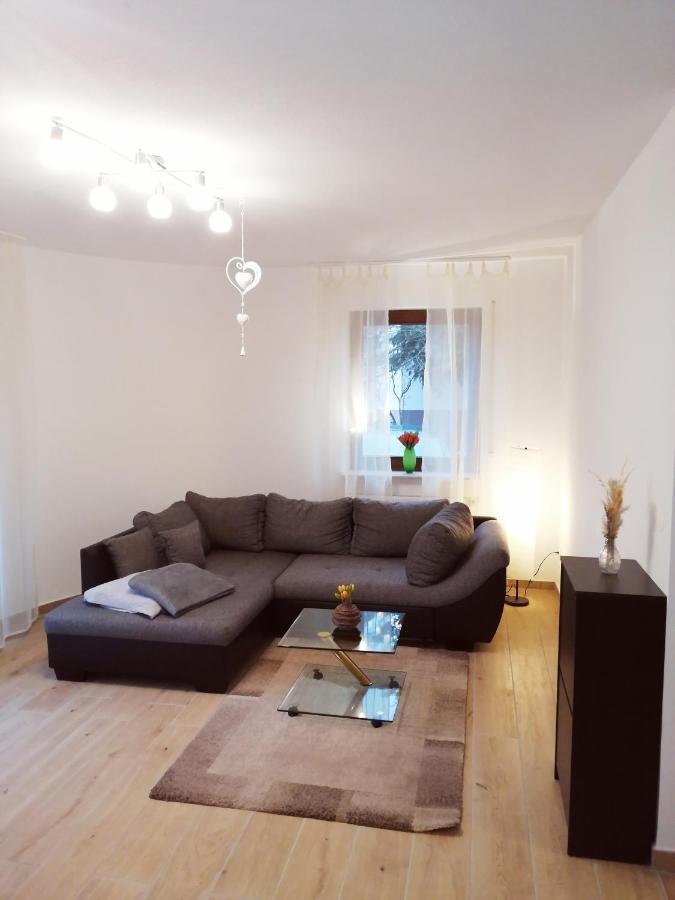 Ebenerdige Ferienwohnung Mit Grosser Terrasse In Der Naehe Des Waldes, Zum Wohlfuehlen Schoneck Luaran gambar